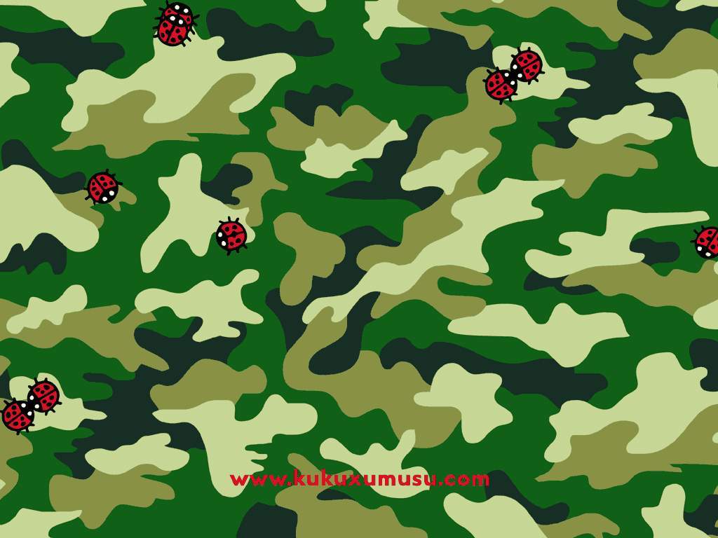 coccinelle